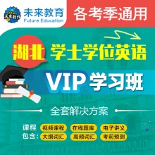 2024年湖北 学士学位英语VIP学习班