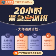 全国计算机二级WPS Office20小时紧急密训班 线上视频课+VIP题库