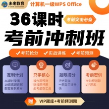 未来教育2025年全国计算机等级考试一级WPS Office...